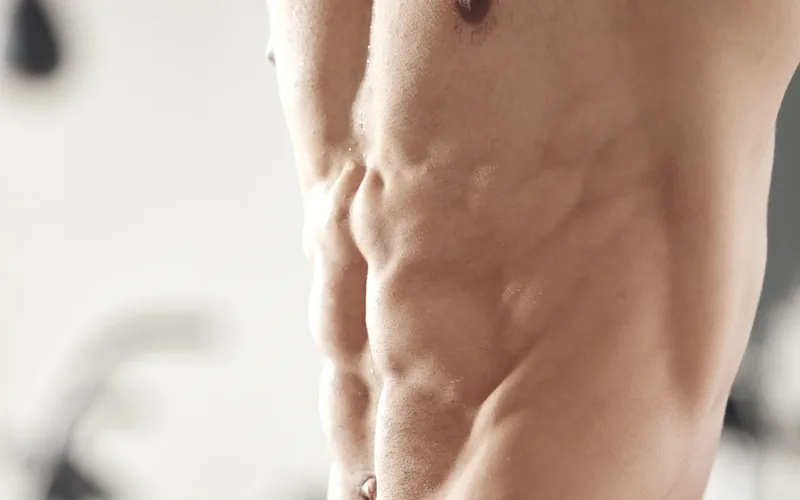 Dettaglio della muscolatura addominale